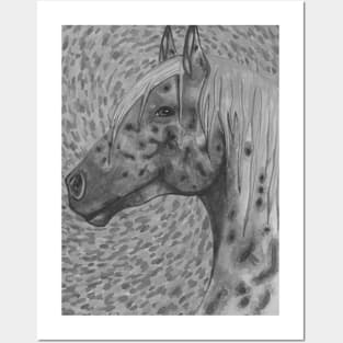 Black and white appaloosa horse Posters and Art